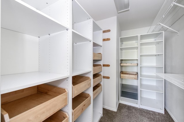 1542 E Alluvial Ave Unit 224, Fresno, CA 93720 - spacious closet featuring carpet flooring
