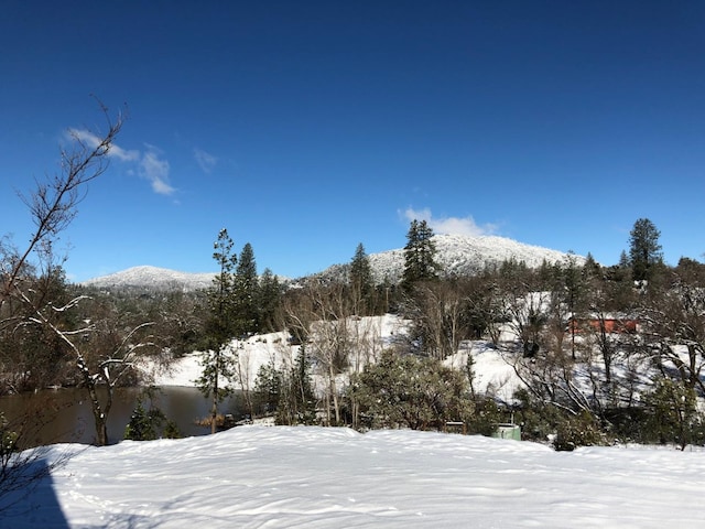 55606 Rd 226, North Fork, CA 93643 - mountain view