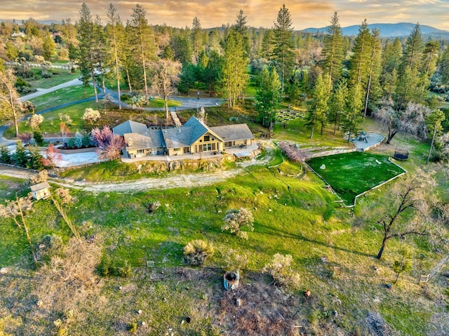 55606 Rd 226, North Fork, CA 93643 - aerial view of property and surrounding area