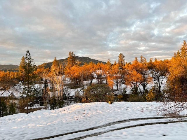 55606 Rd 226, North Fork, CA 93643 - mountain view