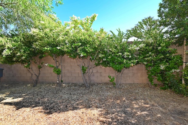 3368 Monterosa Ln, Clovis, CA 93619 - view of fenced backyard