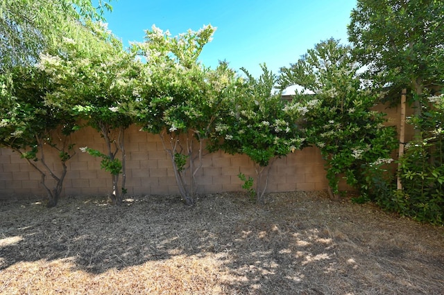 3368 Monterosa Ln, Clovis, CA 93619 - view of fenced backyard