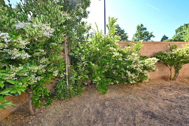 3368 Monterosa Ln, Clovis, CA 93619 - view of yard
