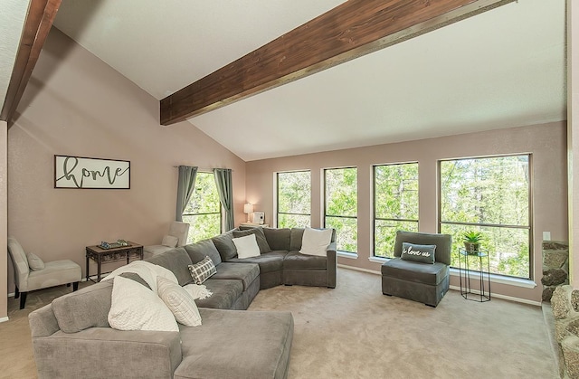 38830 Littlefield Rd, Shaver Lake, CA 93664 - carpeted living area with plenty of natural light