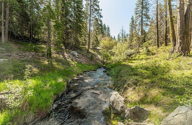 38830 Littlefield Rd, Shaver Lake, CA 93664 - view of local wilderness
