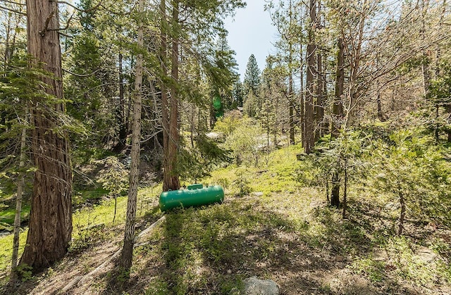 38830 Littlefield Rd, Shaver Lake, CA 93664 - view of woods
