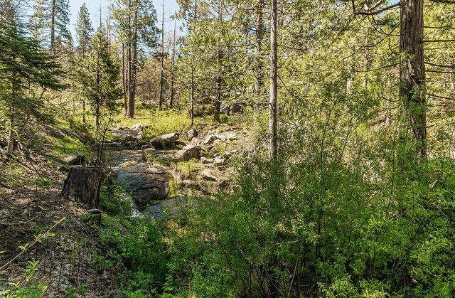 38830 Littlefield Rd, Shaver Lake, CA 93664 - view of woods