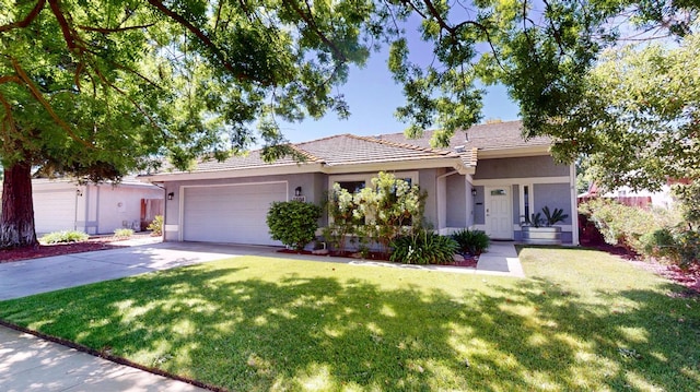 1604 W Central Ave, Madera, CA 93637 - ranch-style house featuring stucco siding, a garage, driveway, and a front yard