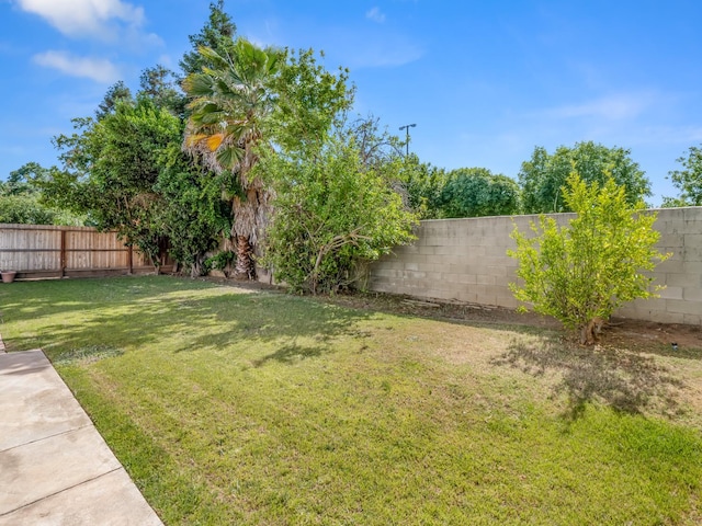 7549 N 8th, Fresno, CA 93720 - view of yard