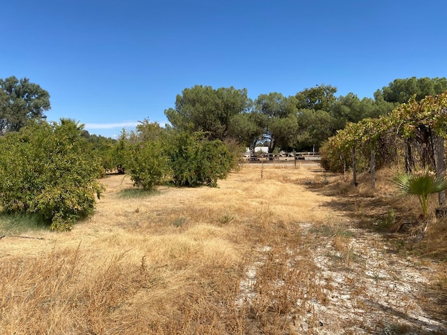 7371 N Highland, Clovis, CA 93619 - view of undeveloped land with rural landscape