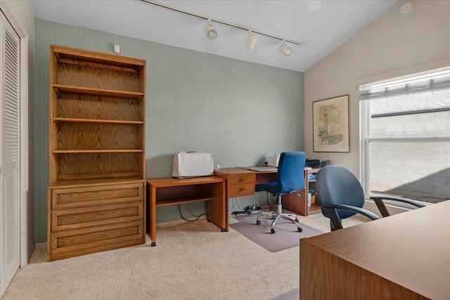 3595 W Magill Ave, Fresno, CA 93711 - carpeted home office featuring rail lighting and lofted ceiling