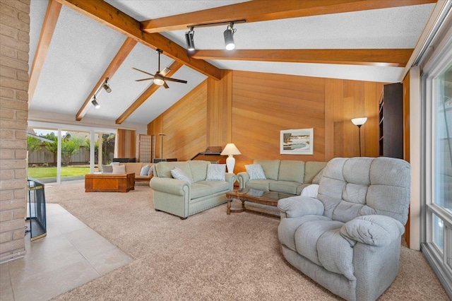 3595 W Magill Ave, Fresno, CA 93711 - carpeted living room featuring rail lighting, wooden walls, and ceiling fan