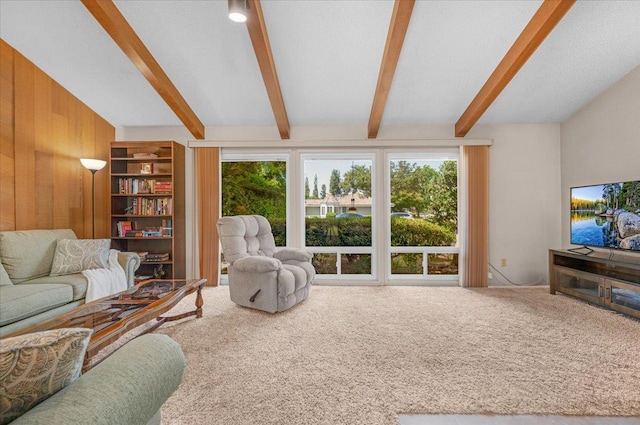 3595 W Magill Ave, Fresno, CA 93711 - carpeted living area featuring healthy amount of natural light and wood walls