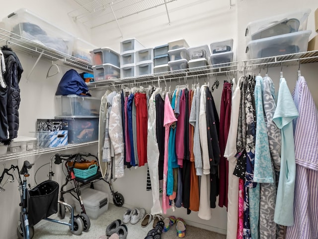 6424 N Allison Ln, Fresno, CA 93711 - spacious closet with carpet floors