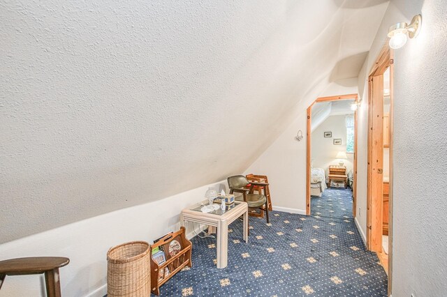 42357 Hanging Branch Rd, Shaver Lake, CA 93664 - bonus room featuring vaulted ceiling, carpet floors, and a textured ceiling