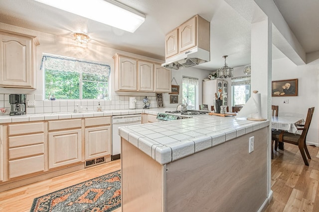 42357 Hanging Branch Rd, Shaver Lake, CA 93664 - kitchen featuring light brown cabinets, under cabinet range hood, light wood finished floors, dishwasher, and a sink