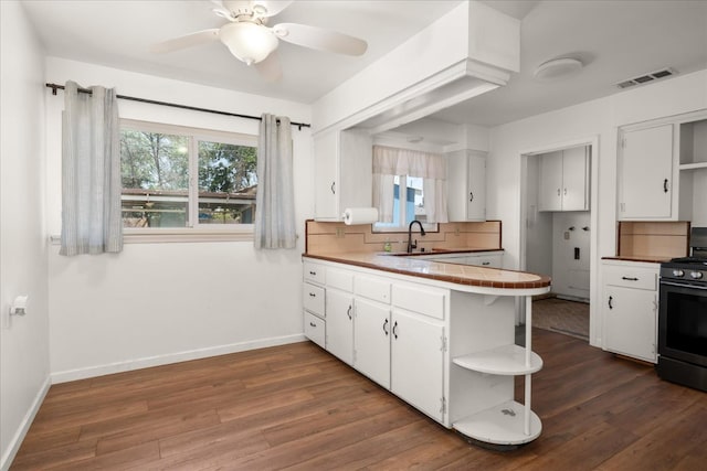 4003 E Fedora Ave, Fresno, CA 93726 - kitchen featuring open shelves, gas stove, tasteful backsplash, and a sink