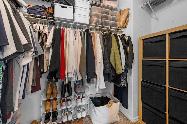 1780 N Avignon Ln, Clovis, CA 93619 - view of spacious closet