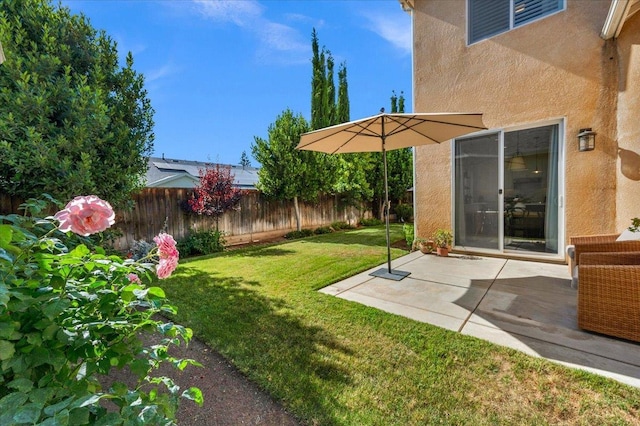 1780 N Avignon Ln, Clovis, CA 93619 - view of yard featuring a patio area