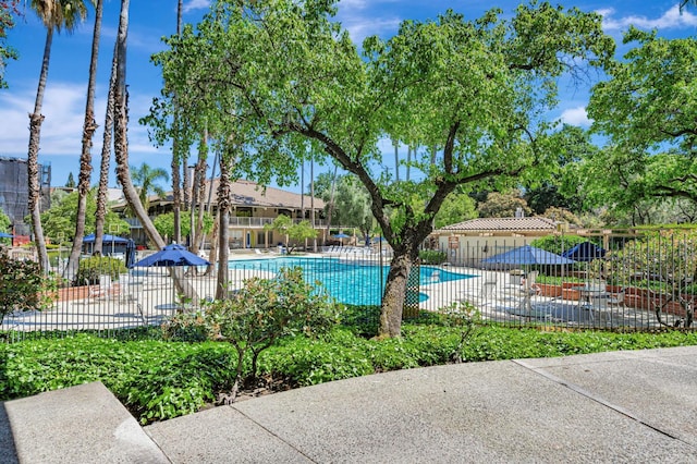 490 N Civic Dr Unit 101, Walnut Creek, CA 94596 - photo 25