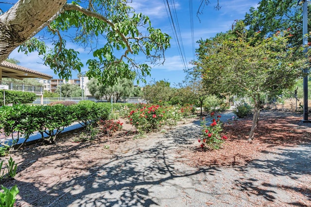 490 N Civic Dr Unit 101, Walnut Creek, CA 94596 - photo 22