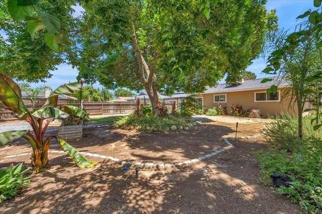6569 N Kennedy Ave, Fresno, CA 93710 - view of yard
