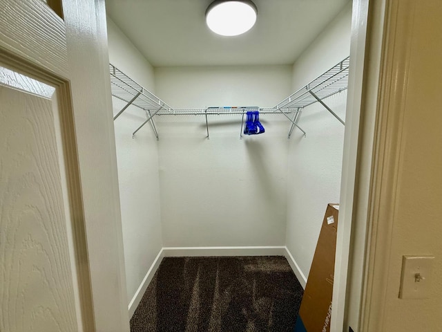 2909 Huntington Blvd Unit 207, Fresno, CA 93721 - walk in closet featuring carpet