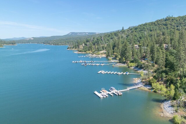 37731 Shoreline Dr, Bass Lake, CA 93604 - water view featuring a heavily wooded area and mountains
