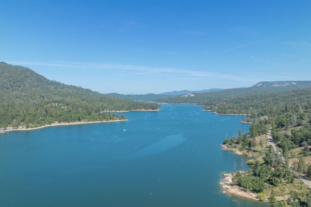 37731 Shoreline Dr, Bass Lake, CA 93604 - water view with a heavily wooded area and a mountain backdrop