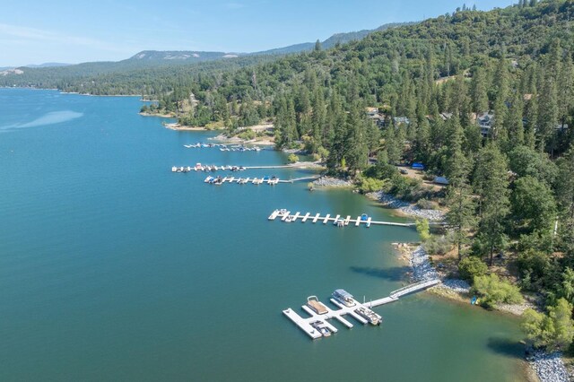 37731 Shoreline Dr, Bass Lake, CA 93604 - aerial view of property and surrounding area with a forest and a water and mountain view
