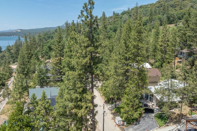 37731 Shoreline Dr, Bass Lake, CA 93604 - drone / aerial view of a forest and a water and mountain view