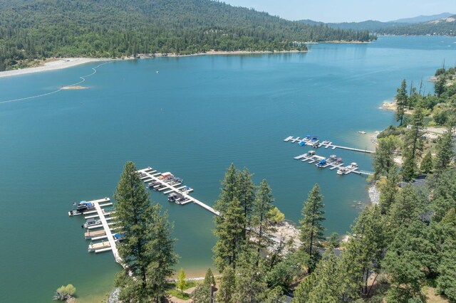 37731 Shoreline Dr, Bass Lake, CA 93604 - bird's eye view of a forest, a large body of water, and numerous boat docks