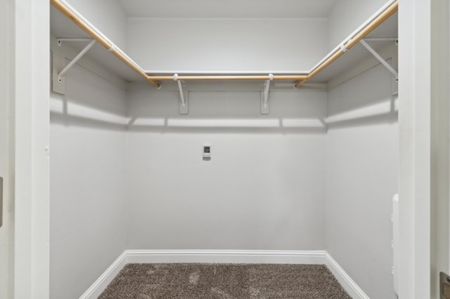 1061 Adell St, Madera, CA 93638 - spacious closet with carpet floors