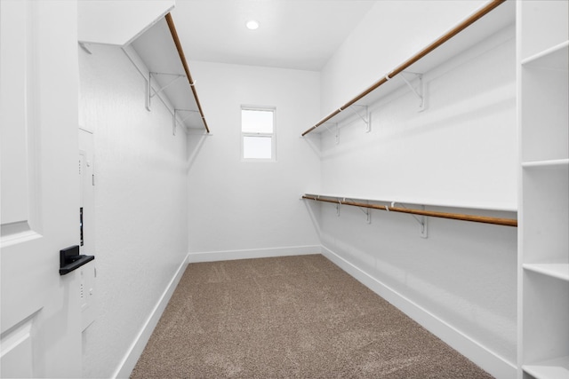 8152 Creek Vw, Friant, CA 93626 - walk in closet with carpet flooring