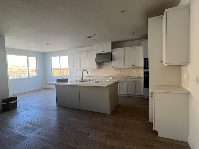 8131 Creek Vw, Friant, CA 93626 - kitchen with under cabinet range hood, dark wood finished floors, tasteful backsplash, white cabinetry, and a sink