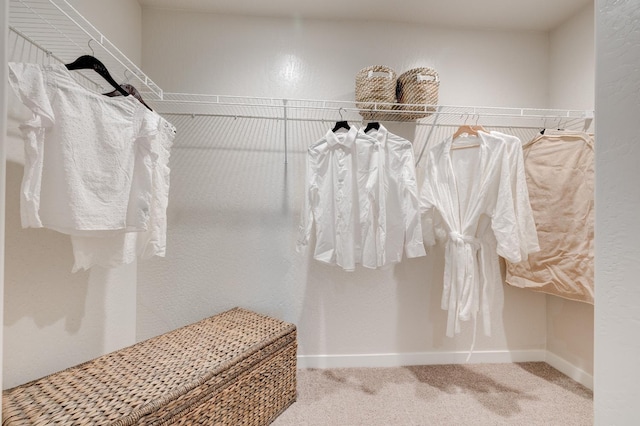 1151 Maclure Ave W, Madera, CA 93636 - spacious closet with carpet floors