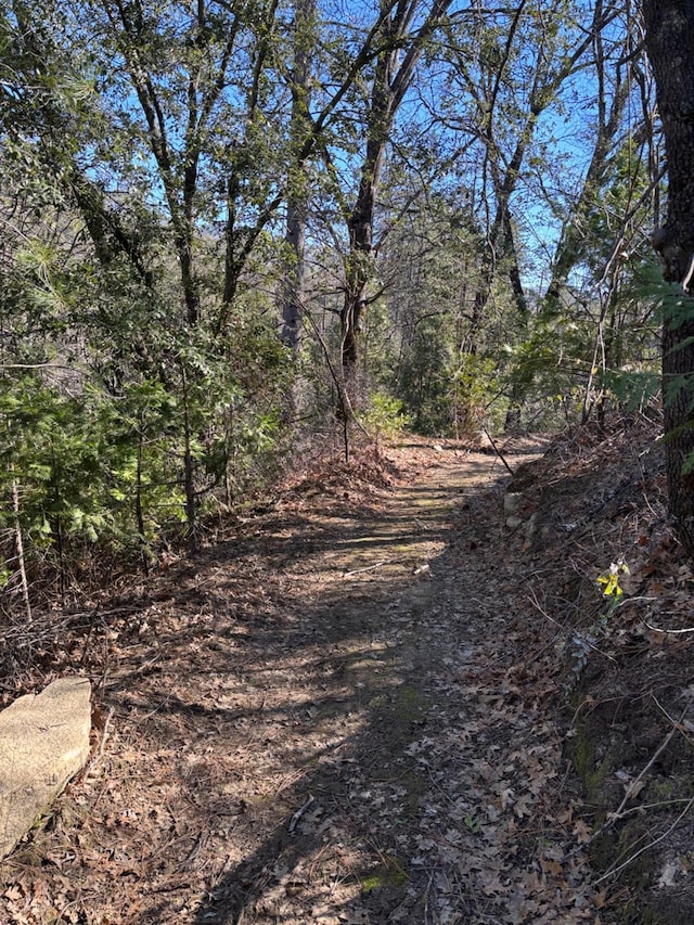 32633 Rd 222, North Fork, CA 93643 - view of undeveloped land