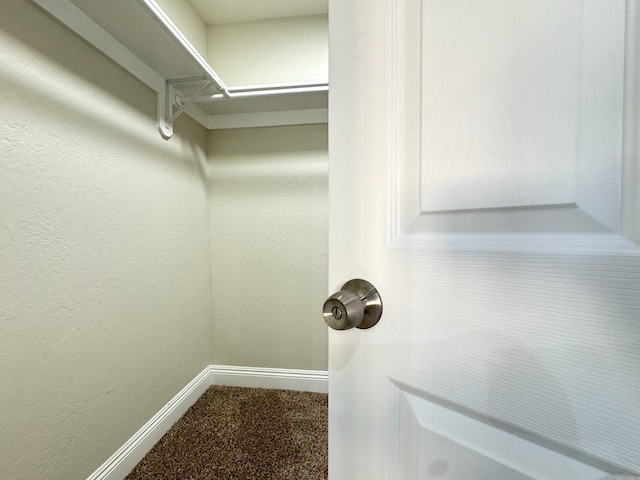4221 E Grant Ave, Fresno, CA 93702 - walk in closet with carpet floors