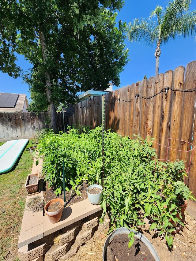 2513 Twain Ave, Clovis, CA 93611 - fenced yard featuring a vegetable garden