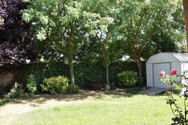 4058 Chessa Ln, Clovis, CA 93619 - view of green lawn