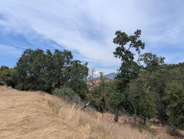 119 Bay Ln, Yokuts Valley, CA 93675 - photo 5