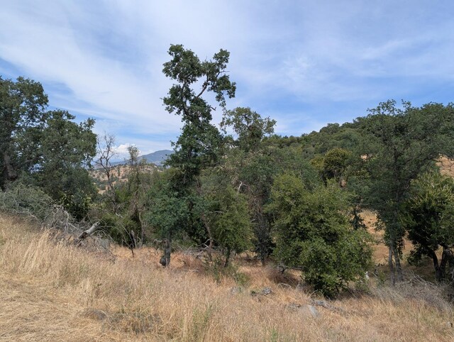 119 Bay Ln, Yokuts Valley, CA 93675 - photo 6