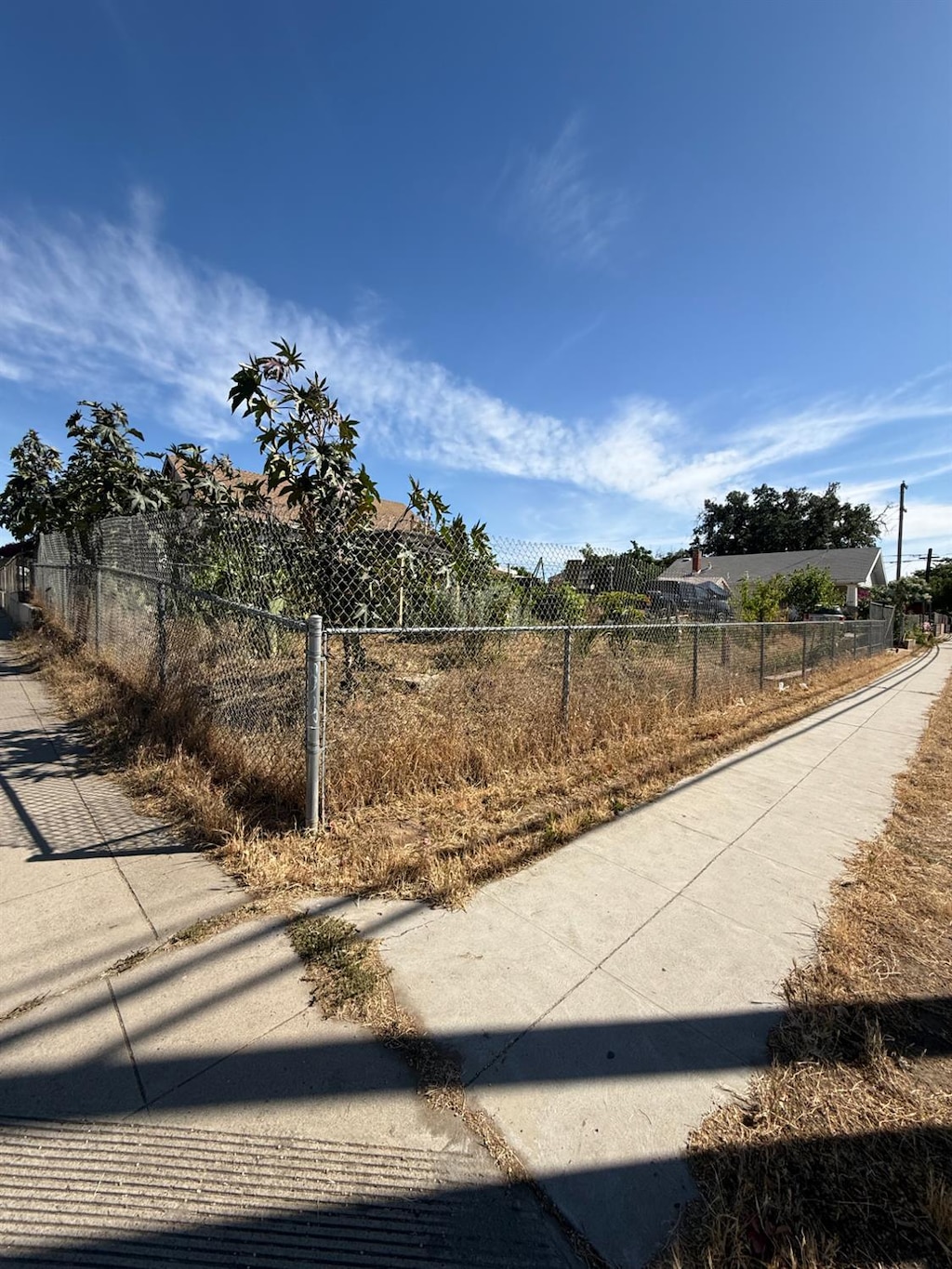 1128 Kern St, Fresno, CA 93706 - view of yard