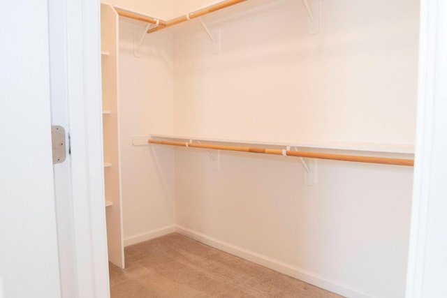 1850 N Dupree Ln, Clovis, CA 93619 - walk in closet with light colored carpet