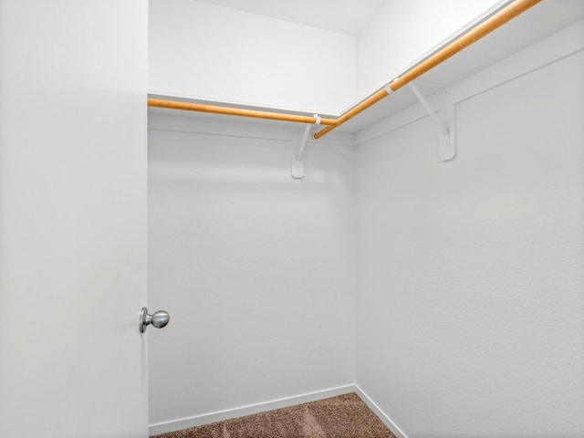 703 Tulip Cir, Dinuba, CA 93618 - walk in closet featuring carpet flooring