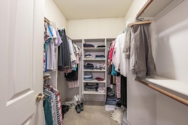 3159 Cedar Creek Ln, Madera, CA 93637 - spacious closet featuring carpet flooring