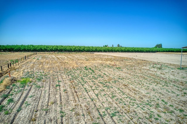 1183 E Dinuba Ave, Fresno, CA 93725 - view of yard featuring agricultural plots and a rural view