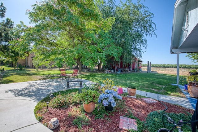 1183 E Dinuba Ave, Fresno, CA 93725 - view of grassy yard