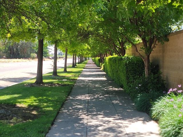1697 Whiteash Ave, Clovis, CA 93619 - view of property's community