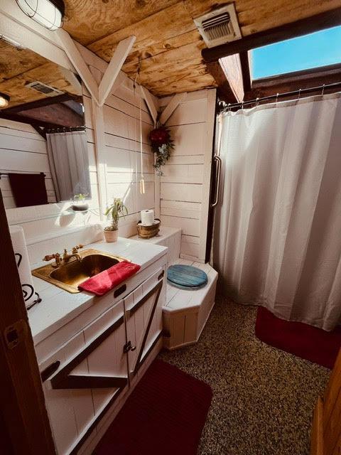 30670 Sentinel Dr, Coarsegold, CA 93614 - bathroom with vanity, a shower with curtain, and toilet